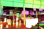 Elephant Club