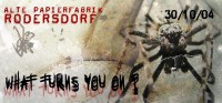 What turns you on? / Kill your Radio album Tour 